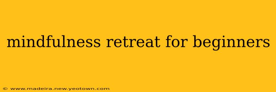 mindfulness retreat for beginners