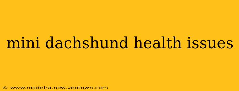 mini dachshund health issues