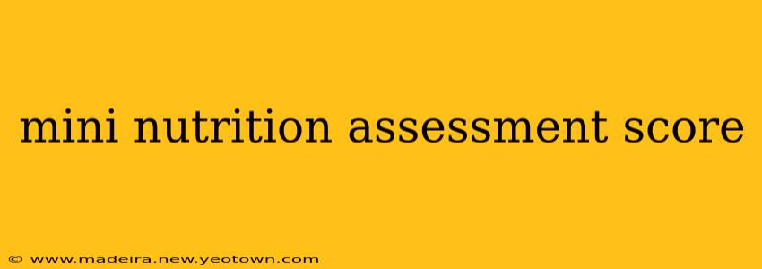 mini nutrition assessment score