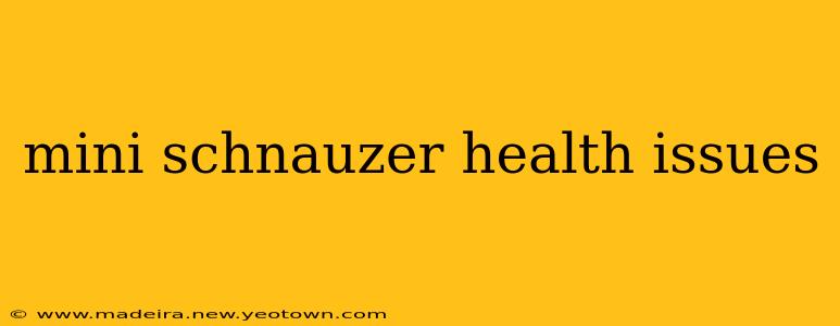 mini schnauzer health issues