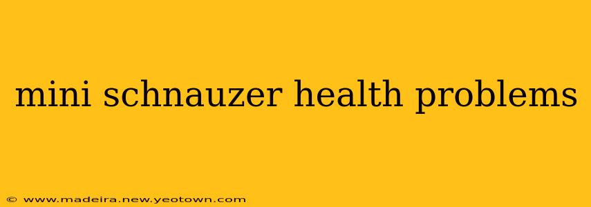 mini schnauzer health problems
