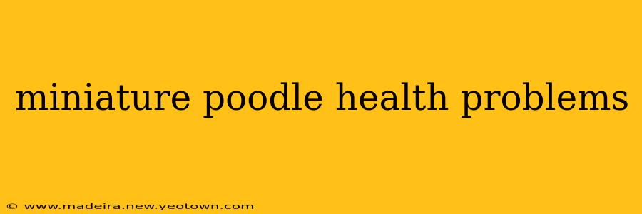 miniature poodle health problems