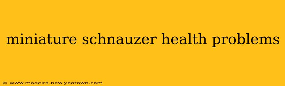 miniature schnauzer health problems