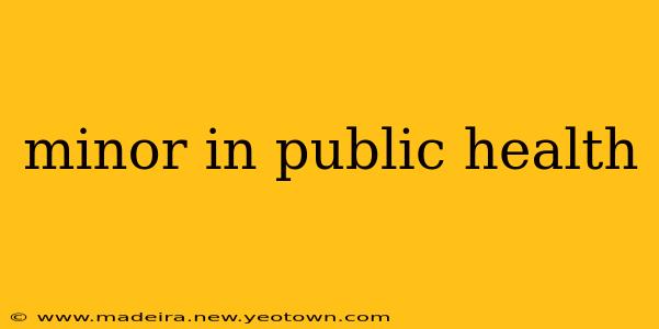 minor in public health