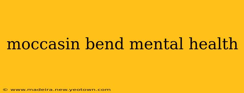 moccasin bend mental health