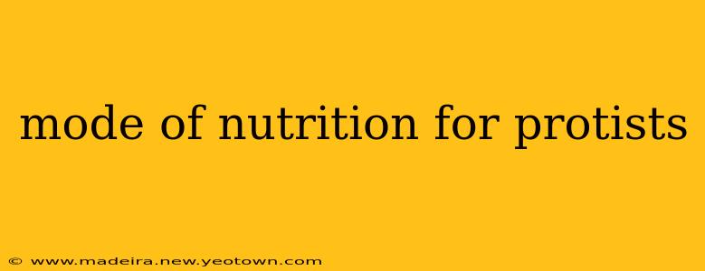 mode of nutrition for protists