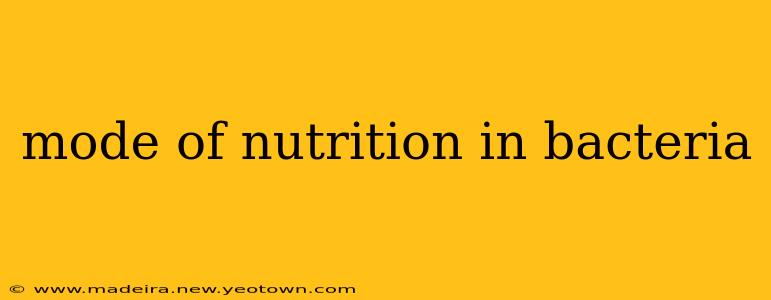 mode of nutrition in bacteria