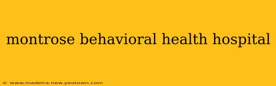 montrose behavioral health hospital