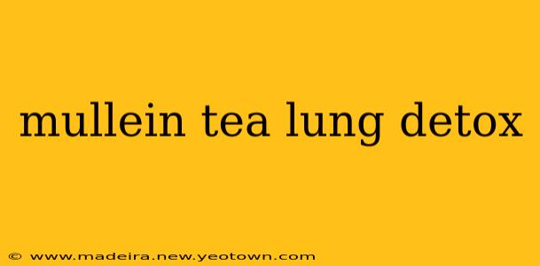 mullein tea lung detox