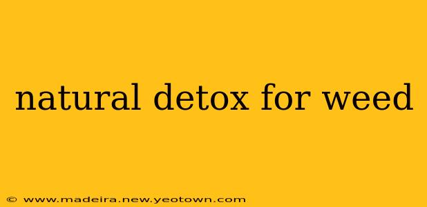 natural detox for weed