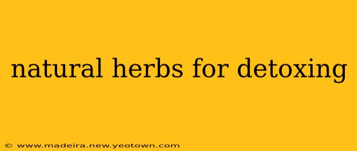natural herbs for detoxing