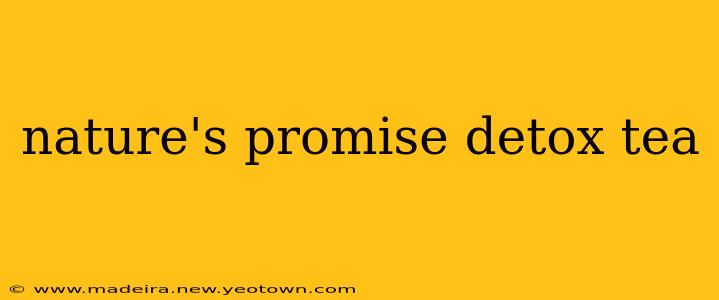 nature's promise detox tea