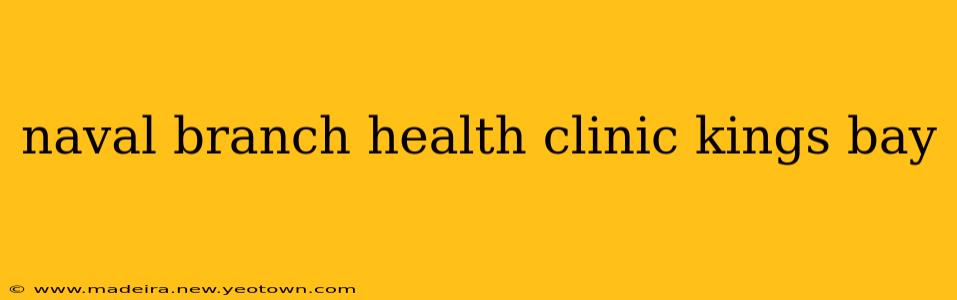 naval branch health clinic kings bay