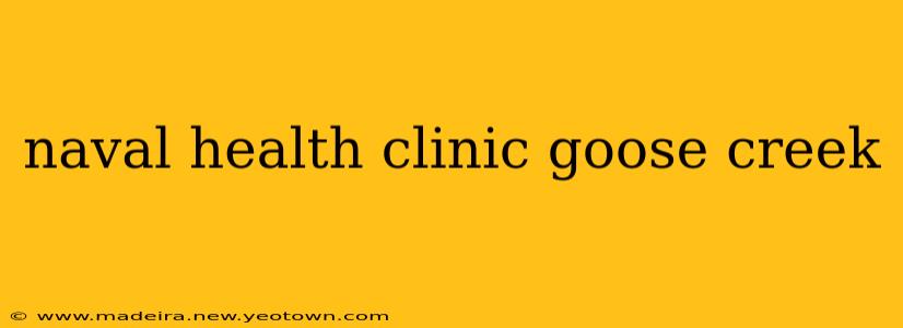 naval health clinic goose creek