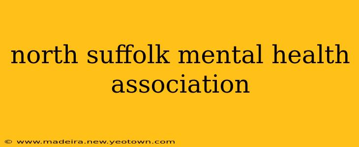 north suffolk mental health association