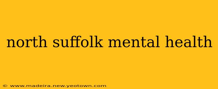 north suffolk mental health