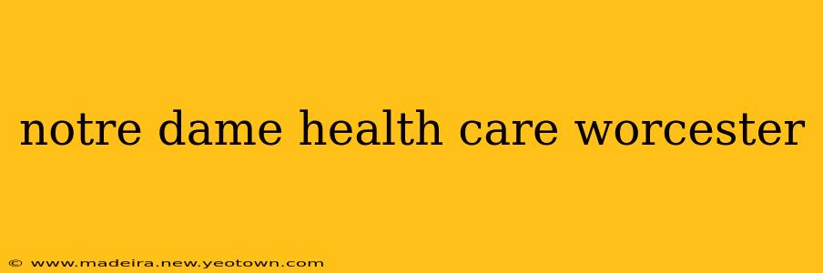 notre dame health care worcester