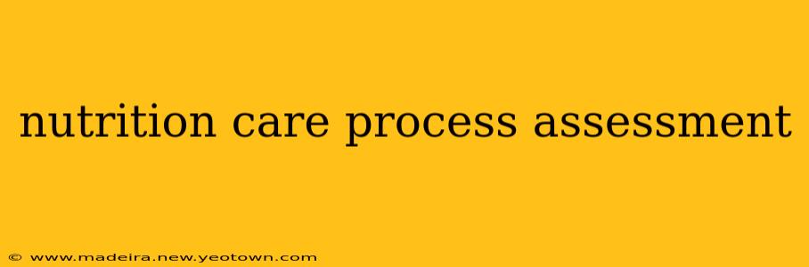 nutrition care process assessment