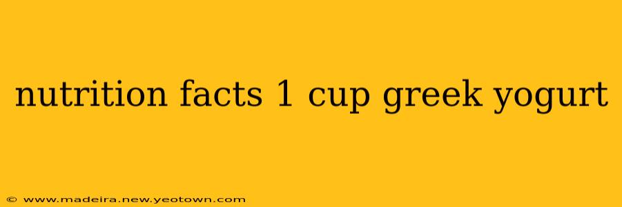 nutrition facts 1 cup greek yogurt