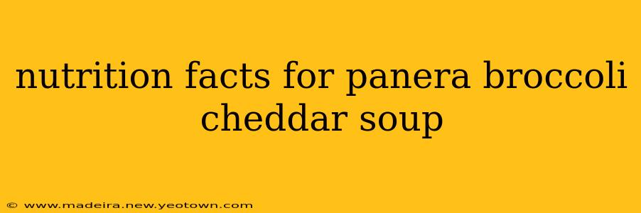 nutrition facts for panera broccoli cheddar soup