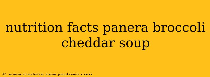 nutrition facts panera broccoli cheddar soup