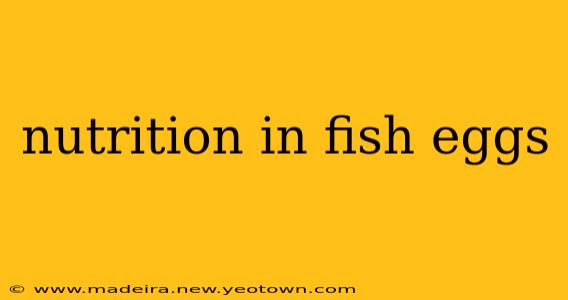 nutrition in fish eggs