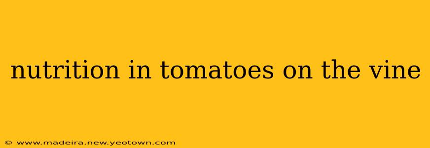 nutrition in tomatoes on the vine