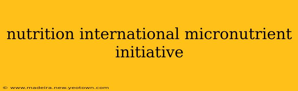 nutrition international micronutrient initiative