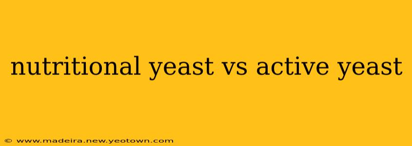 nutritional yeast vs active yeast