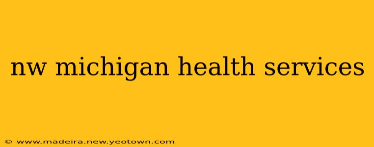 nw michigan health services