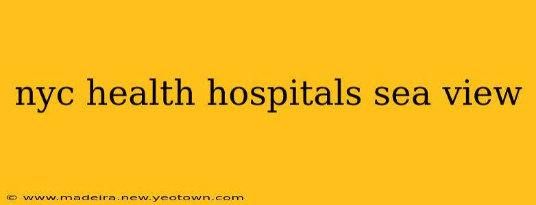 nyc health hospitals sea view
