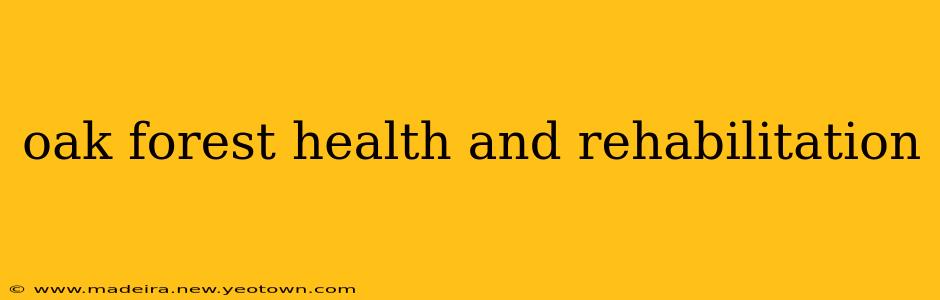 oak forest health and rehabilitation