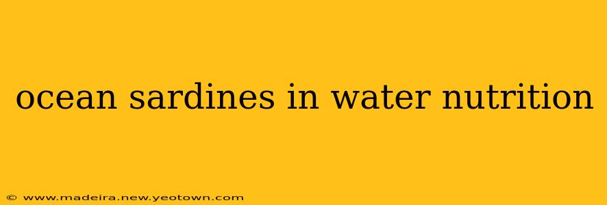 ocean sardines in water nutrition
