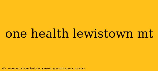 one health lewistown mt