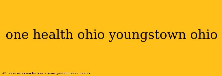 one health ohio youngstown ohio
