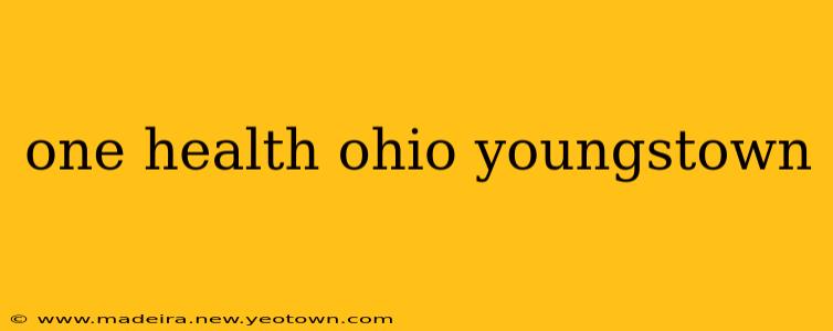 one health ohio youngstown