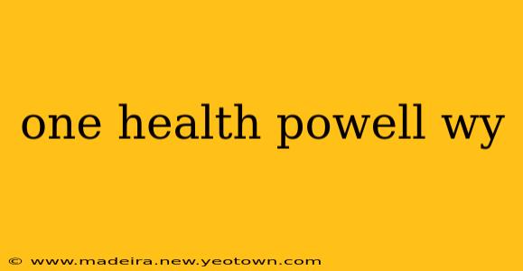 one health powell wy