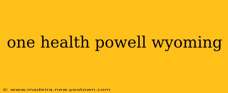one health powell wyoming