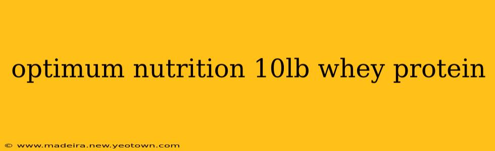 optimum nutrition 10lb whey protein