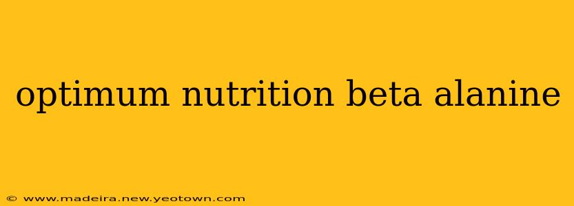optimum nutrition beta alanine