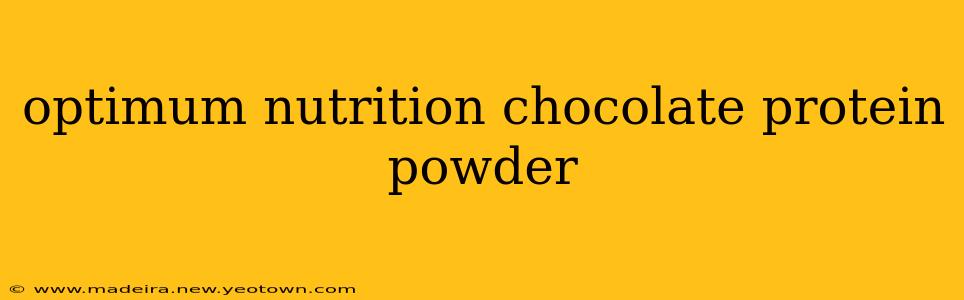 optimum nutrition chocolate protein powder