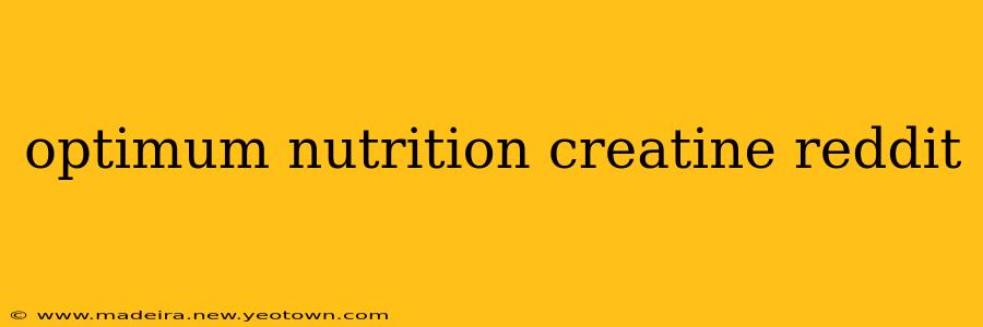 optimum nutrition creatine reddit