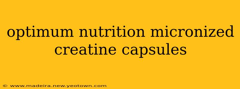 optimum nutrition micronized creatine capsules