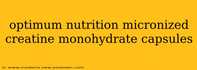 optimum nutrition micronized creatine monohydrate capsules