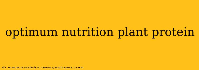 optimum nutrition plant protein