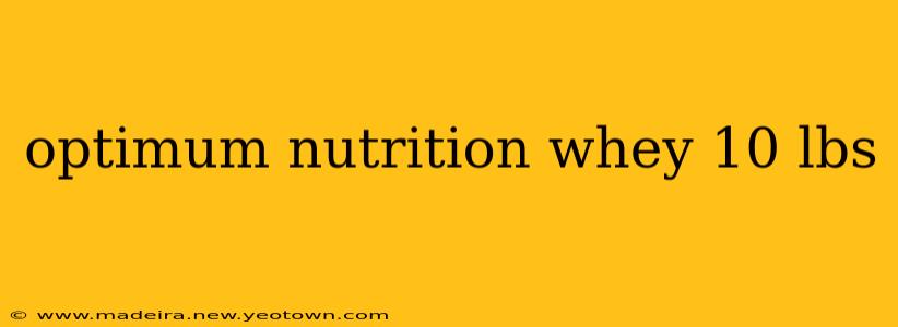 optimum nutrition whey 10 lbs