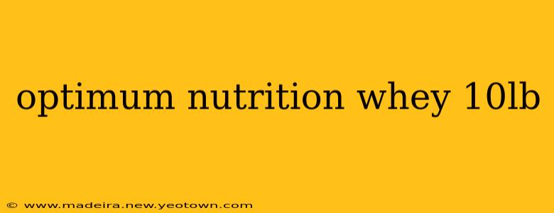 optimum nutrition whey 10lb