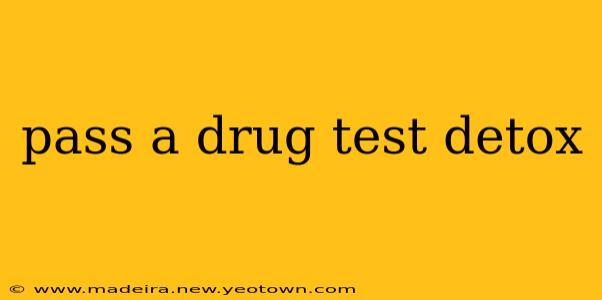 pass a drug test detox