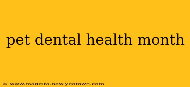 pet dental health month