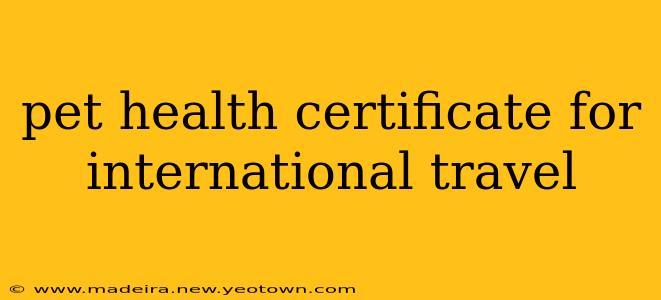 pet health certificate for international travel